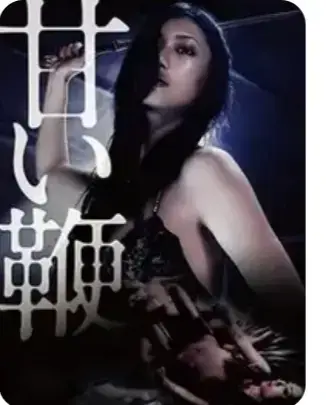 《甜蜜皮鞭》2026日本电影1080P高清完整版《甜蜜皮鞭》中文字幕未删减在线观看
